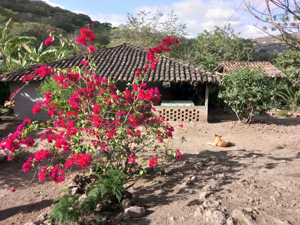 בית הארחה Los Potrerillos 	La Ceibita Tours מראה חיצוני תמונה